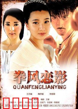 拳风恋影：铁拳柔情