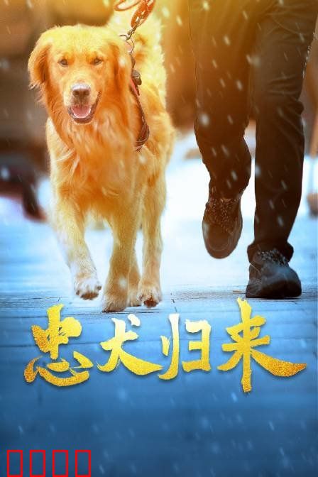 忠犬归来：生死相依