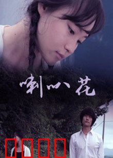 牵牛花：绽放的生命奇迹