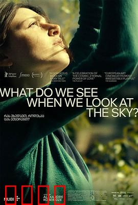 当我们仰望天空时看见什么？：魔幻爱情奇遇