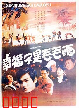 幸福不是毛毛雨：平凡人的奋斗