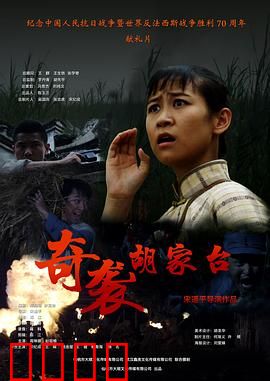 奇袭胡家台：虎口拔牙