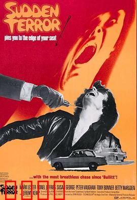 小英雄与大刺客：智勇双全