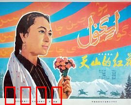天山的红花：草原新女性