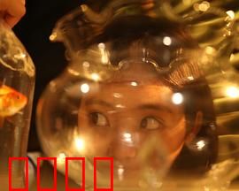 樓上樓下：窥见真相