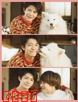 爱你汪汪：跨越种族的治愈之旅