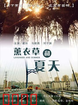 薰衣草和夏天：紫色浪漫物语
