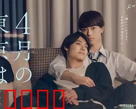 4月的东京…：樱花下的重逢