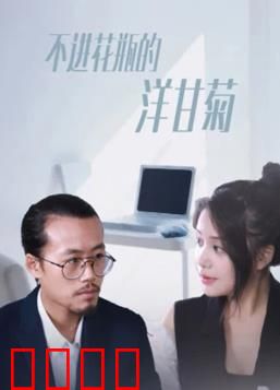 不进花瓶的洋甘菊：自由生长