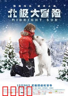 北极大冒险：冰原救援之旅