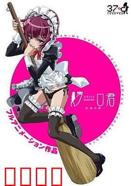 少年男仆库洛：奇幻羁绊之谜