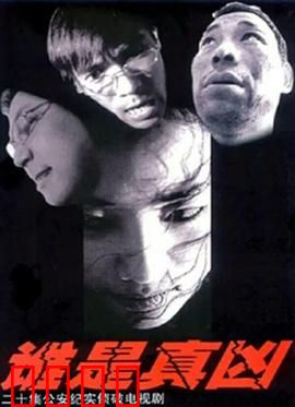 谁是真凶：迷雾中的真相