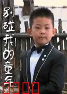 别碰我的童年：笑中带泪的成长