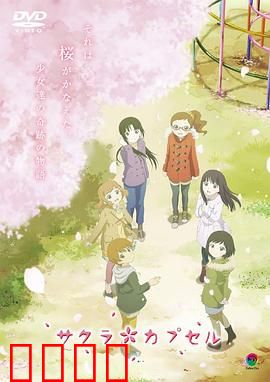 樱花树下的时间胶囊：十年之约