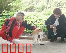 难破MG5特别篇：兄弟情深