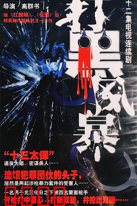 打黑风暴：正义终将降临