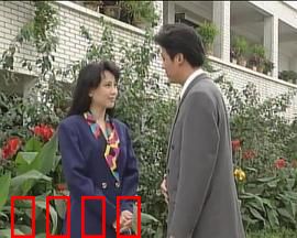 走出雨季：风雨后的彩虹