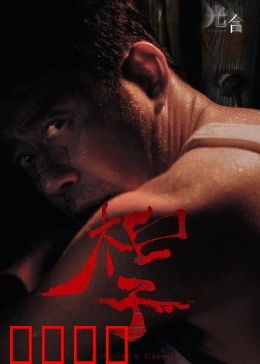 光合计划：光合人体实验