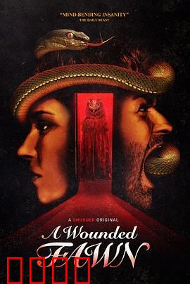 受伤的小鹿：被救赎的生命之光