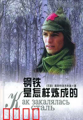 钢铁是怎样炼成的：革命者的成长
