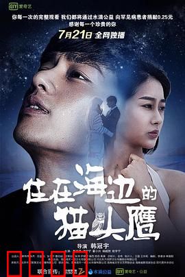 住在海边的猫头鹰：孤独的守护者