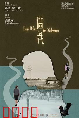 徘徊年代：迷失与觉醒