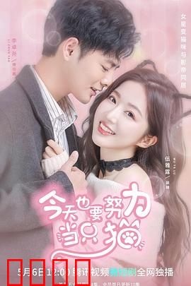 今天也要努力当只猫：猫咪逆袭记