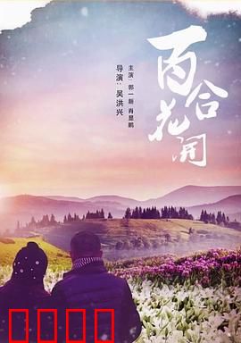 《百合花开》：百合之恋