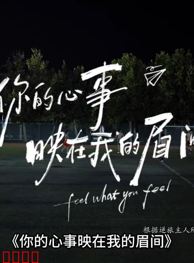 你的心事映在我的眉间：情感迷局