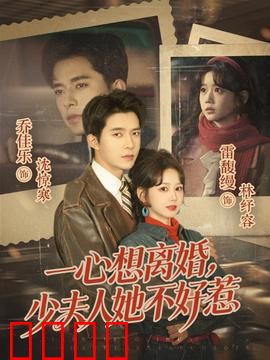 一心想离婚，少夫人她不好惹：离婚逆袭记