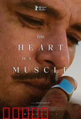 心如肌理：心灵深处的纹理